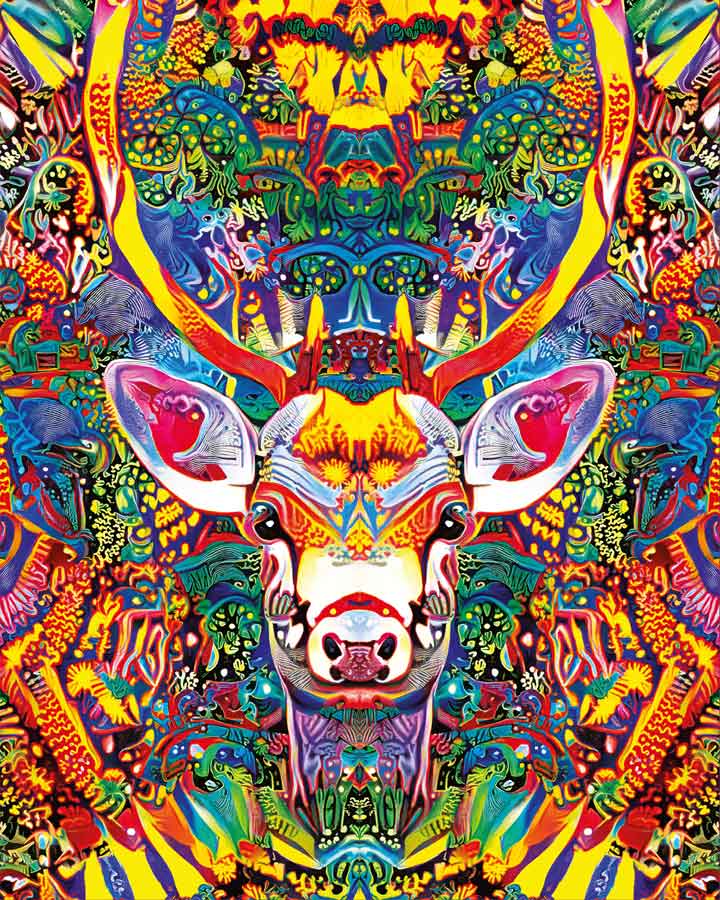 Medicine Deer