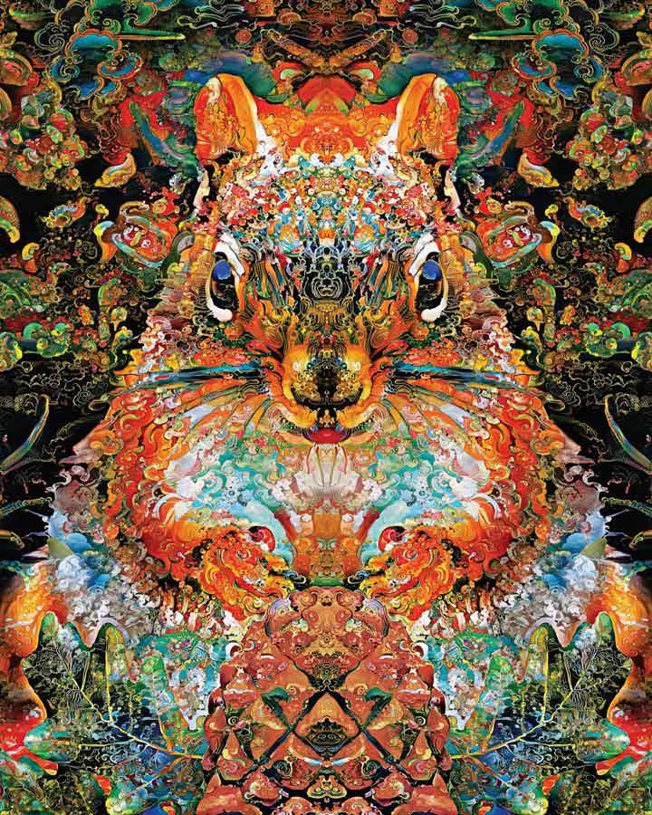 Medicine Red Squirrel