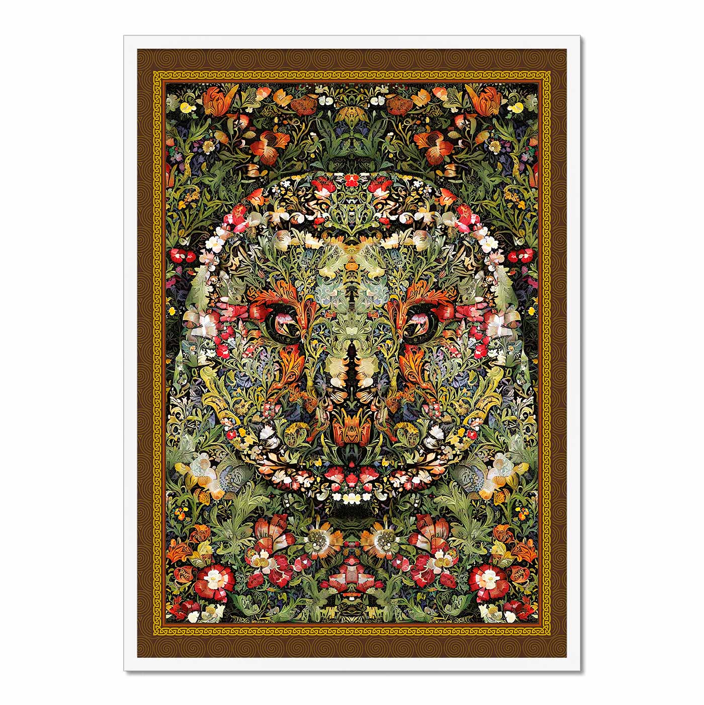 'Medicine William's Owl' Framed Print